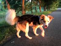 Suchmeldung-Floyd-Bild