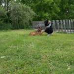 Ersteller:in Michelle Profilbild