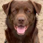 Ersteller:in Jessica Profilbild