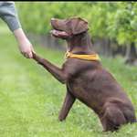 Ersteller:in Marie Profilbild