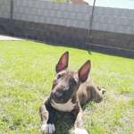 Ersteller:in Lee Profilbild