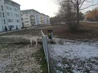 Hundeauslaufgebiet-Brixenpark (frühere Nibelungenkaserne)-Bild