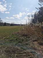 Hundeauslaufgebiet-Bruck-Bild