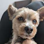 Ersteller:in Ferdi Profilbild