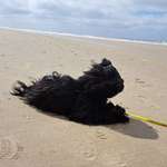 Ersteller:in Patrice Profilbild