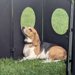 Ersteller:in Mel Profilbild