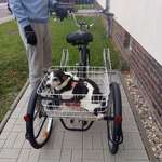 Ersteller:in Oliver Profilbild