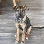 Ersteller:in Gabriele Profilbild