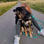 Ersteller:in Verena Profilbild