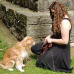 Ersteller:in Stefanie Profilbild