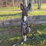 Ersteller:in Ida Profilbild