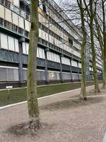 Hundeauslaufgebiet-Neustädter Neuer Weg-Bild