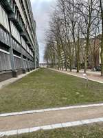 Hundeauslaufgebiet-Neustädter Neuer Weg-Bild