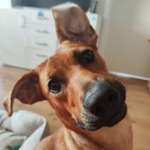 Ersteller:in Elisabeth Profilbild