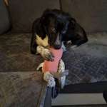 Ersteller:in Isa Profilbild