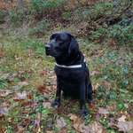 Ersteller:in Melanie Profilbild