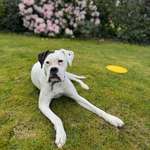 Ersteller:in Michaela Profilbild