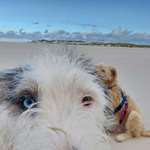 Ersteller:in YoJo Profilbild