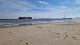 Hundeauslaufgebiet-Bassenfleeth Elbstrand-Bild