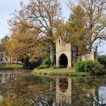 Hundeauslaufgebiet-Breidings Garten-Bild