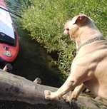 Ersteller:in Maiko/Nadine Profilbild