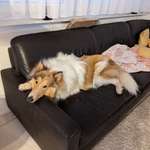 Ersteller:in Timo Profilbild