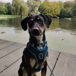 Ersteller:in Nicki Profilbild