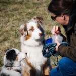 Ersteller:in Tatjana Profilbild