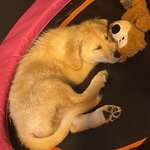 Ersteller:in Ella Profilbild