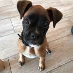 Ersteller:in Hanna Profilbild