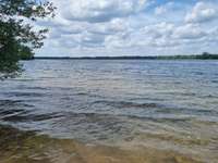 Hundeauslaufgebiet-Hundestrand Auesee-Bild