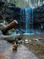 Hundeauslaufgebiet-Hörschbach Wasserfälle-Bild