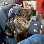 Ersteller:in Stefanie Profilbild