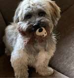 Ersteller:in Dagmar Profilbild