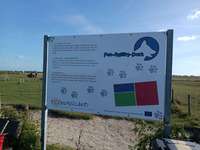 Hundeauslaufgebiet-Strand Neßmersiel-Bild