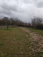 Hundeauslaufgebiet-Hundewiese Neulußheim-Bild