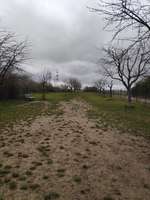 Hundeauslaufgebiet-Hundewiese Neulußheim-Bild