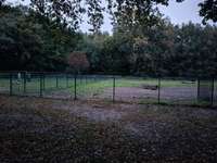 Hundeauslaufgebiet-Julianenpark-Bild