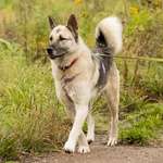 Ersteller:in Volt Profilbild