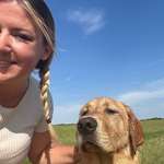 Ersteller:in Laura Profilbild