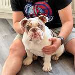 Ersteller:in Maik Profilbild