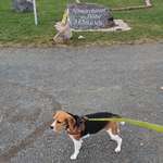 Ersteller:in Ela Profilbild