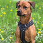 Ersteller:in Line&‘Mila Profilbild