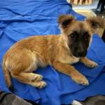 Ersteller:in Claudia Profilbild