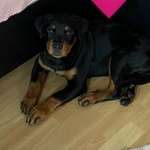 Ersteller:in Nadine Profilbild