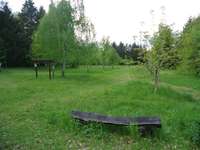 Hundeauslaufgebiet-Andrea-Hilse-Park-Bild