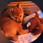 Ersteller:in Sunny Profilbild