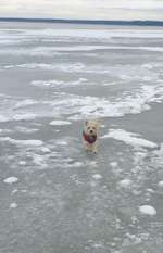 Ersteller:in Maila Profilbild