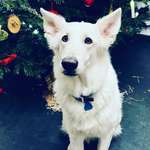 Ersteller:in Martina Profilbild