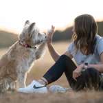 Ersteller:in Caro. Profilbild